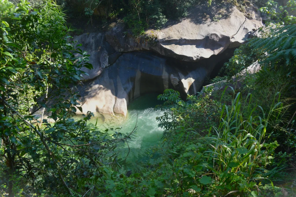 Green stream flowing through smooth rock cave surrounded by dense tropical foliage.