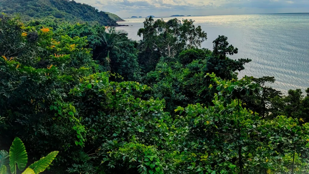 Lush tropical forest overlooking calm ocean with distant islands under a partly cloudy sky.