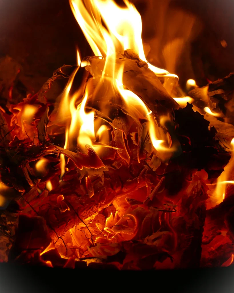 Close‑up of bright orange flames and glowing embers consuming wood in a vivid fire.